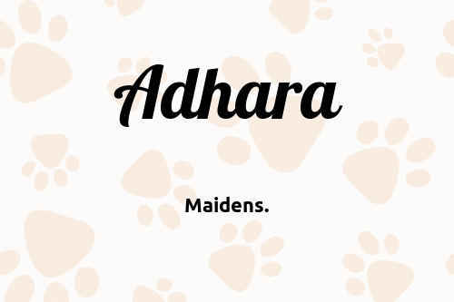 Adhara dog name meaning