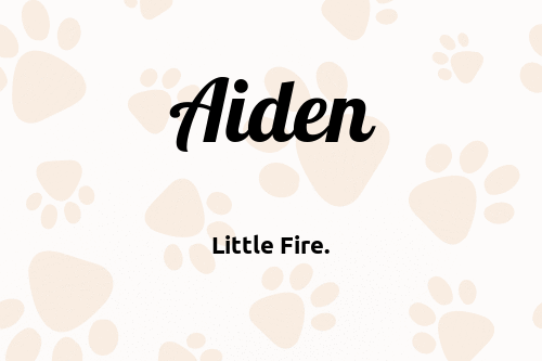 Aiden dog name meaning