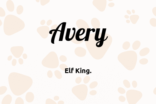 Avery dog name meaning