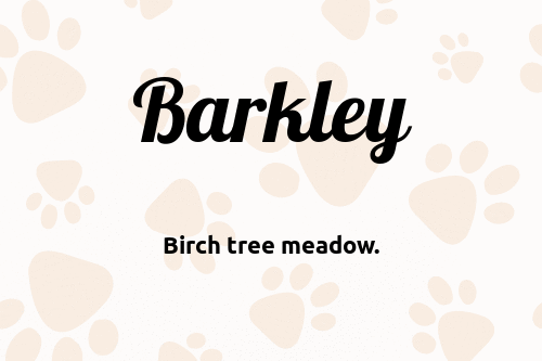 Barkley dog name meaning