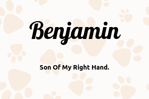 Benjamin dog name meaning