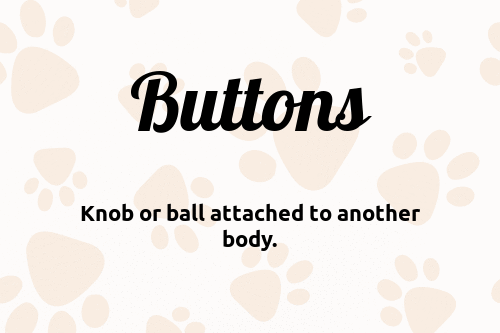 Buttons dog name meaning