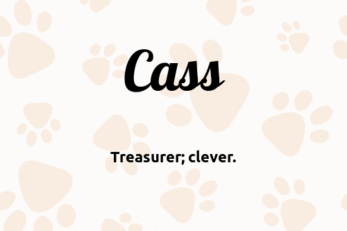 Cass dog name meaning