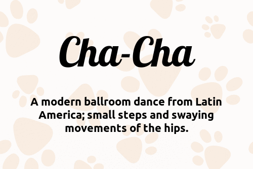 Cha-Cha dog name meaning