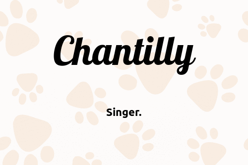 Chantilly dog name meaning