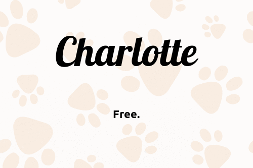 Charlotte dog name meaning