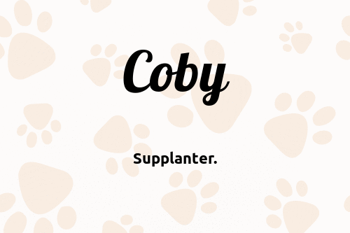 Coby dog name meaning