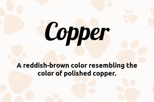 Copper dog name meaning
