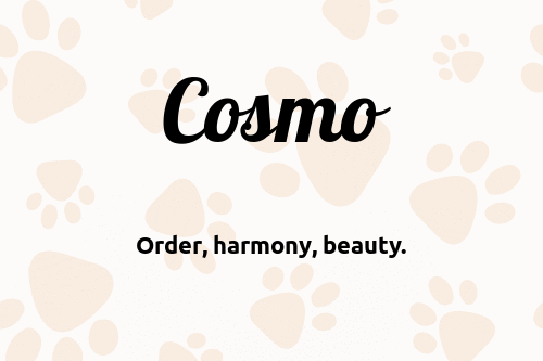 Cosmo dog name meaning