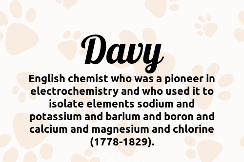 Davy dog name meaning