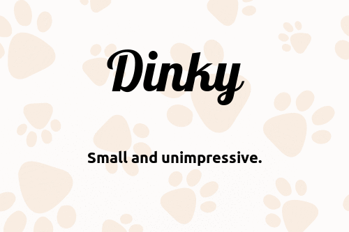 dinky-dog-name-meaning-popularity-pupnames