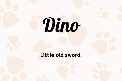 Dino dog name meaning
