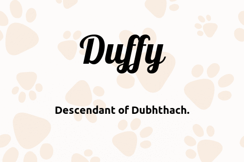 Duffy dog name meaning