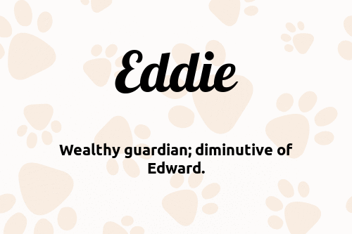 Eddie dog name meaning