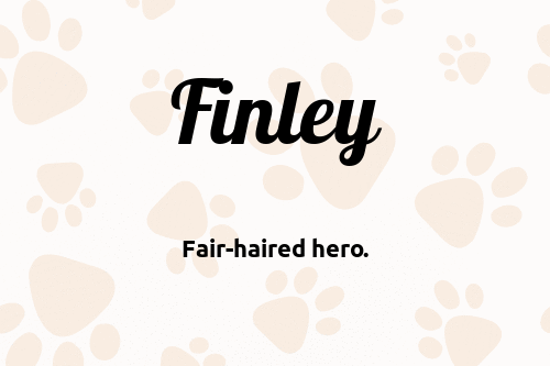 Finley dog name meaning