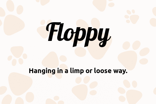 Floppy dog name meaning