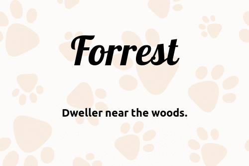 Forrest dog name meaning