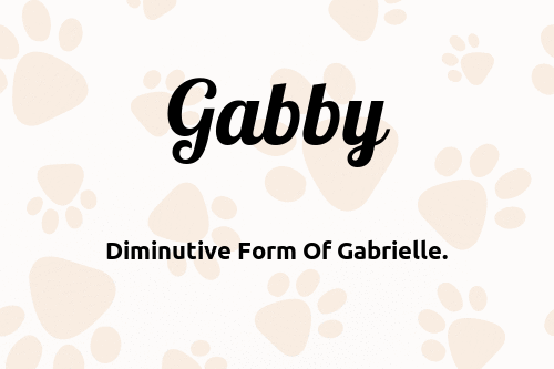 Gabby 🐶 - Dog Name Meaning & Popularity | PupNames.com™