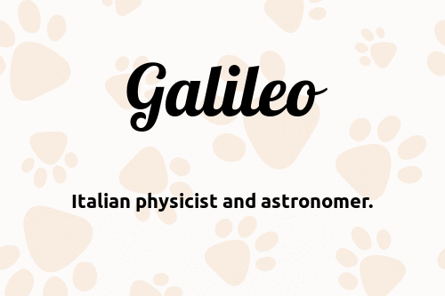 galileo dog