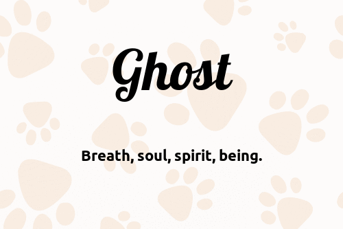 a good ghost dog name