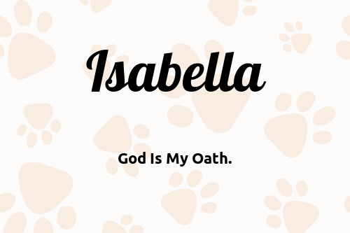 Isabella dog name meaning