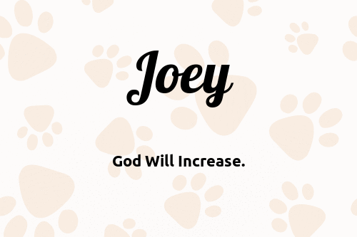 Joey dog name meaning