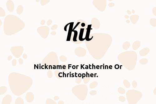 Kit dog name meaning