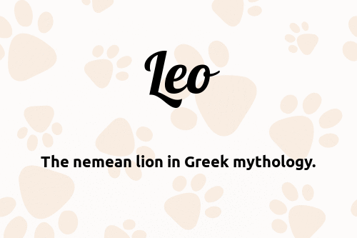 Leo dog name meaning
