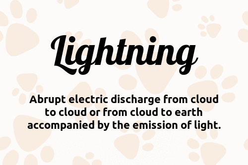 Lightning dog name meaning