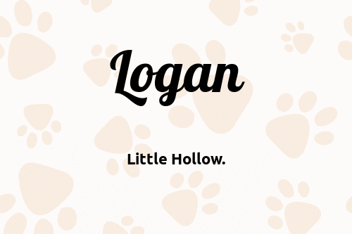 Logan dog name meaning