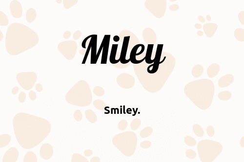 Miley dog name meaning