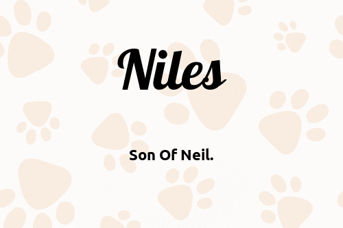 Niles dog name meaning