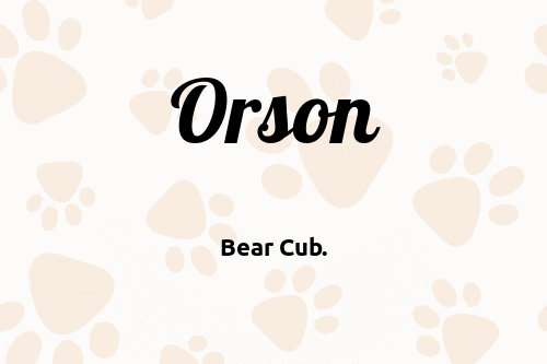 Orson dog name meaning