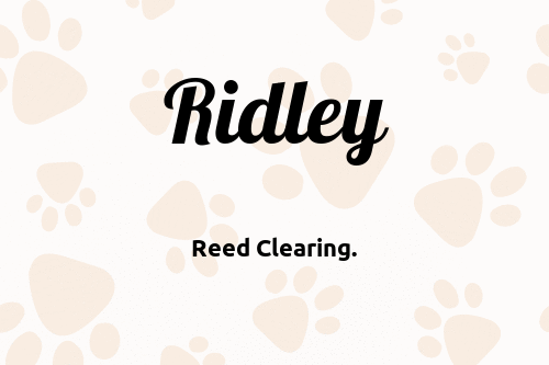 Ridley dog name meaning