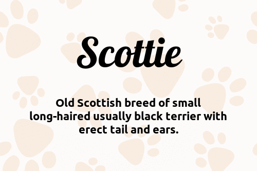 Scottie dog name meaning