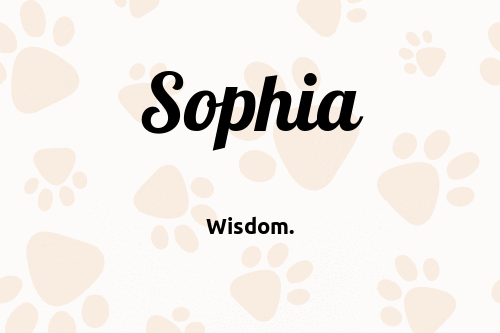 Sophia (given name) visual data 2