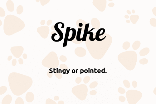 Spike dog name meaning