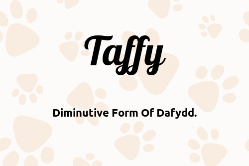 Taffy dog name meaning