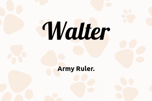 Walter dog name meaning