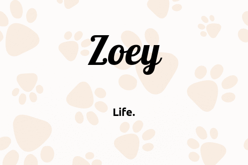 What Does The Dog Name Zoey Mean